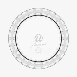 Baccarat x USHER Tumbler